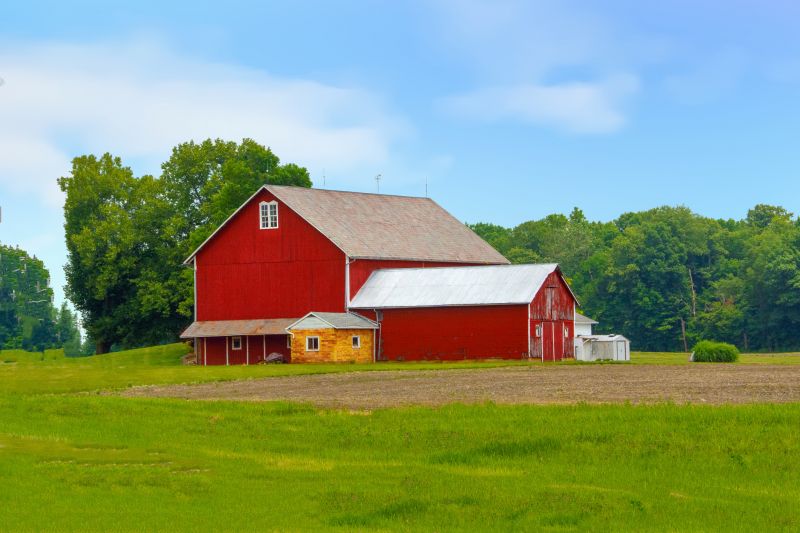 Summer Barn Painting